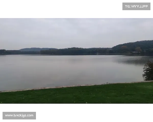 湖畔冬季景色探秘宁静与诗意交织的自然之美 湖畔冬季景色探秘宁静与诗意交织的自然之美