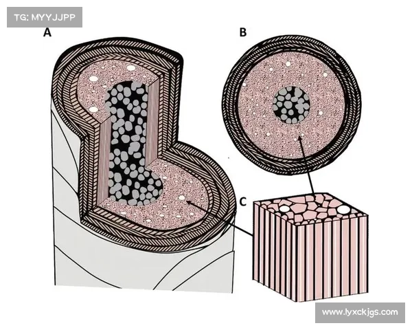 冰虫鳞片的微观结构特性及其在生物仿生和材料科学中的潜在应用 冰虫鳞片的微观结构特性及其在生物仿生和材料科学中的潜在应用