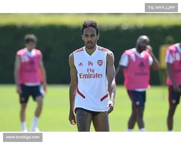 奥巴梅扬为何拒绝法国队背后的真相与深层原因揭秘